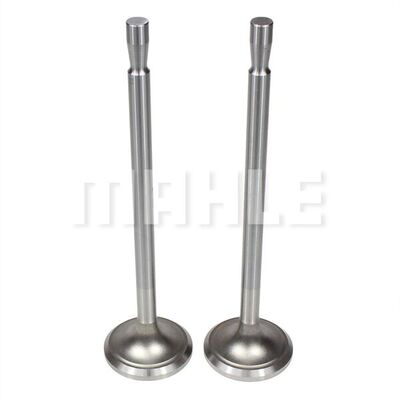 Intake Valve