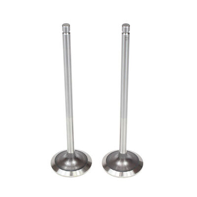 Intake Valve