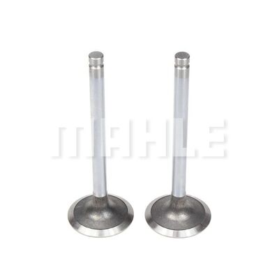 Intake Valve