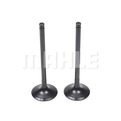 Intake Valve