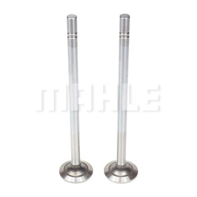 Intake Valve