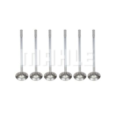 Intake Valve