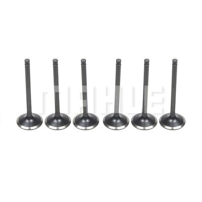 Intake Valve