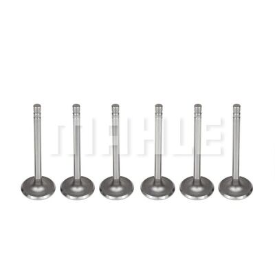 Intake Valve