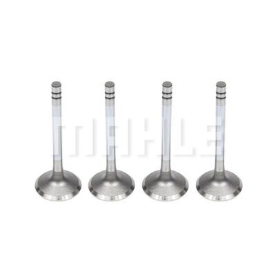 Intake Valve