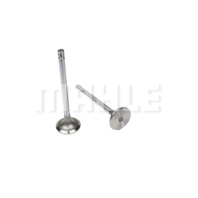 Intake Valve
