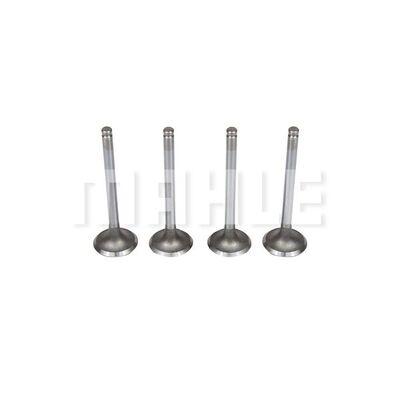 Intake Valve