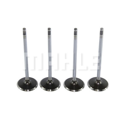 MAHLE VA0251632 Βαλβίδα εισαγωγής Πλευρά εισαγωγής for FIAT