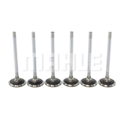 Intake Valve