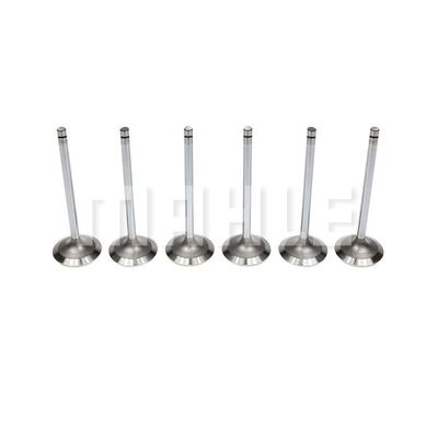Intake Valve