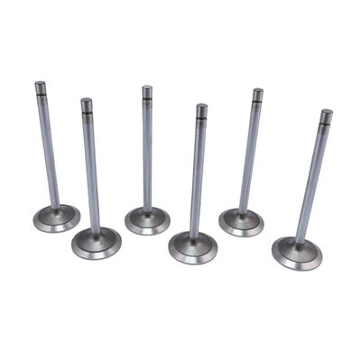 Intake Valve