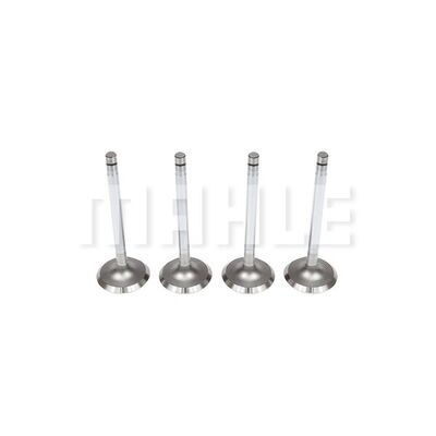 Intake Valve