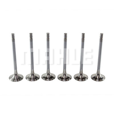 Intake Valve