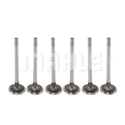 Intake Valve