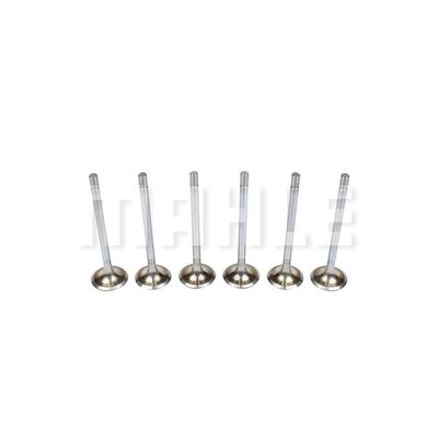 Intake Valve
