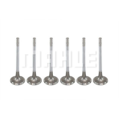 Intake Valve