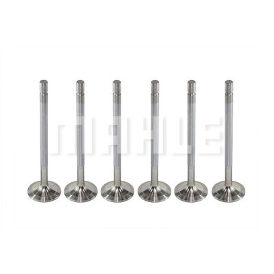 Intake Valve