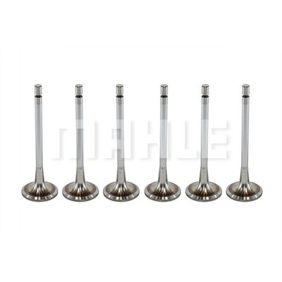 Intake Valve
