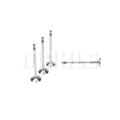 Intake Valve