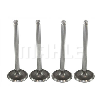 Intake Valve