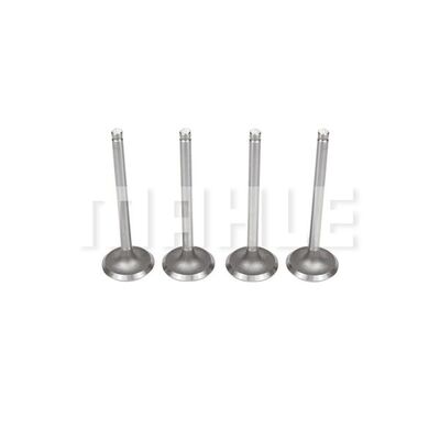 Intake Valve