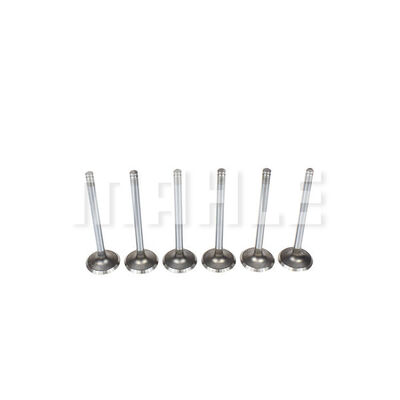 Intake Valve