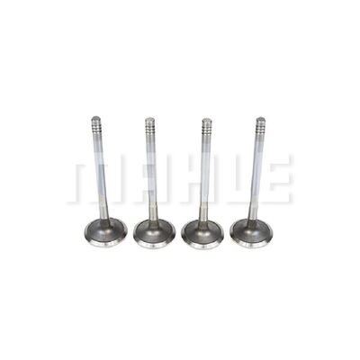 Intake Valve