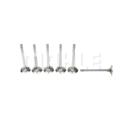Intake Valve