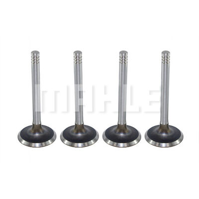 MAHLE VA0590066 Βαλβίδα εισαγωγής Πλευρά εισαγωγής for FORD FORD USA VW