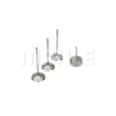 MAHLE VA0590221 Intake Valve Intake Side for FORD FORD USA