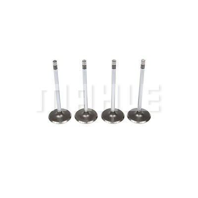 MAHLE VA0591461 Intake Valve Intake Side for FORD