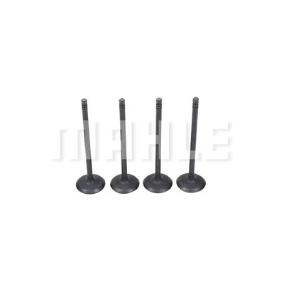 MAHLE VA0591474 Intake Valve Intake Side for FORD