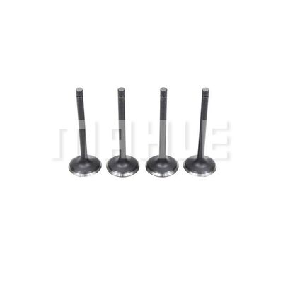 Intake Valve