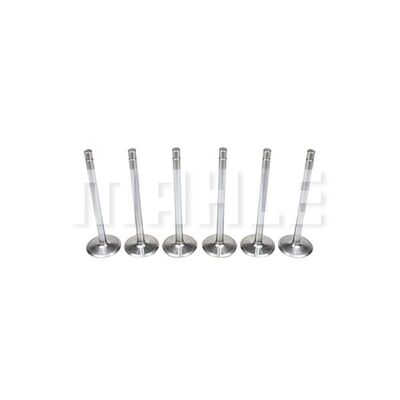 Intake Valve