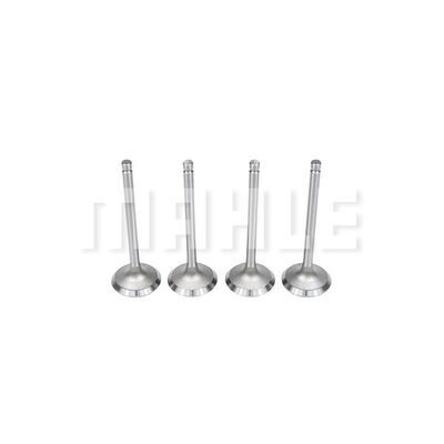 Intake Valve