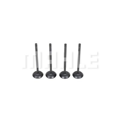 MAHLE VA3481577 Βαλβίδα εισαγωγής Πλευρά εισαγωγής for CHERY