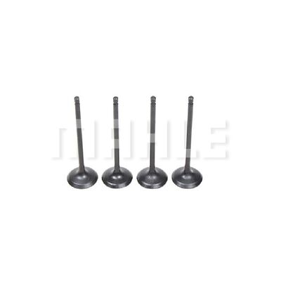MAHLE VA3551556 Βαλβίδα εισαγωγής Πλευρά εισαγωγής for JAC