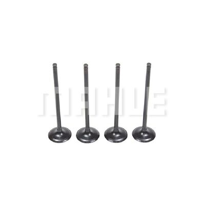 MAHLE VA5511568 Βαλβίδα εισαγωγής Πλευρά εισαγωγής for HONDA