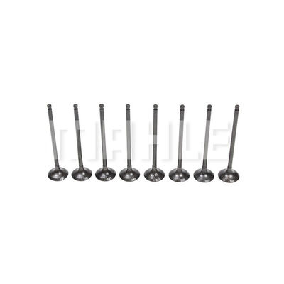 MAHLE VE0031609 Exhaust Valve Exhaust Side for NISSAN