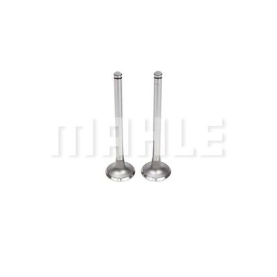 MAHLE VE0060907 Βαλβίδα εξαγωγής Πλευρά εξαγωγής for AGRALE