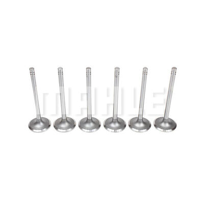 Exhaust Valve