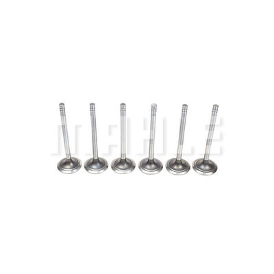 Exhaust Valve