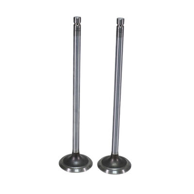 Exhaust Valve