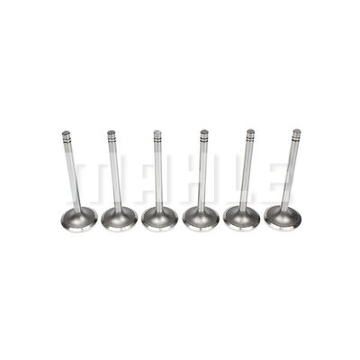 Exhaust Valve