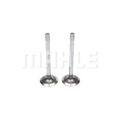 Exhaust Valve