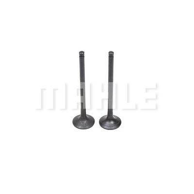 Exhaust Valve