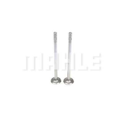 Exhaust Valve
