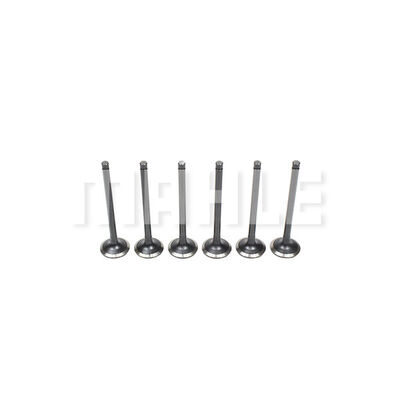 Exhaust Valve