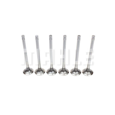 Exhaust Valve