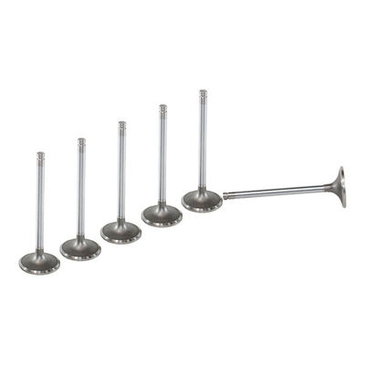 Exhaust Valve 2